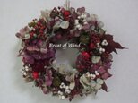 Christmas Wreath 4の画像