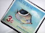 沖縄　1967年「熱帯魚」切手ブローチ②の画像