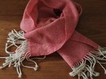 cashmere muffler_34の画像