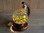 bulb terrarium ball [warm]の画像