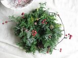 クリスマスwreath-サンキライ