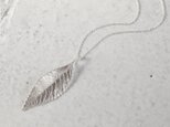 Elm leaf necklace [P078SV]の画像
