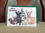 クリスマスカード＊ミニチュアシュナウザーと森の仲間たちの画像