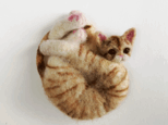 アンモニャイト H　茶トラの子猫　ブローチ＆ペンダント　形状安定羊毛フェルトの画像