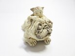 犬となかよし -パグ-の画像