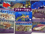 2018オーストラリア固有魚カレンダー（エコパック）の画像