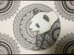 原画 肉筆 一点もの ボールペンアート  パンダ　パンダの絵  百貨店作家 人気 ボールペン画 絵画の画像