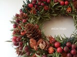 八ヶ岳〜(新作)キンポウジュとローズヒップWreath01