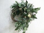 冬wreath-ユーカリと白いバラの画像