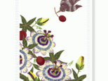 ポストカード　花と実と鳥（２枚組）の画像