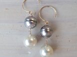 K14GF double tahitian pearl pierceの画像