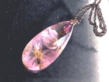 Botanical jewelry 桜inクォーツ　ネックレスの画像