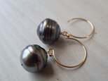 K14GF tahitian pearl pierceの画像