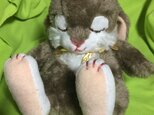 眠りウサギ(チャコールグレー)の画像
