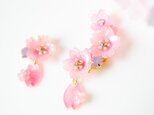 花便り桜のイヤーカフ&イヤリング（ピアス)の画像