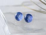 まるピアス24/ヤモリの画像