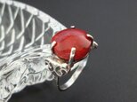 赤珊瑚のリング - silver -の画像