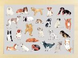犬のデザインペーパー