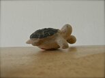 ◯ かめさんの添配( 4 cm )の画像