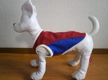 犬服　小型犬用タンクトップ　３号の画像