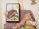 イギリス　野生動物切手ブローチ（ポストカード付）3401の画像