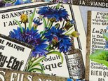 1920年代/france洋書ステッカー(青い花系）24枚setの画像