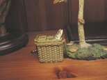 角魚籠＆ヤマメの画像
