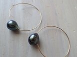 K14GF tahitian pearl design hook pierceの画像