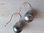 K14GF tahitian pearl short hook pierceの画像