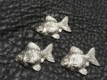 財布に入る金魚の画像