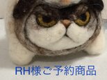 RH様オーダー商品 ＊猫がま口２個セットの画像