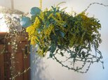 揺れるwreath-ミモザ