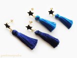 【M様ご予約品】星とタッセルのピアス