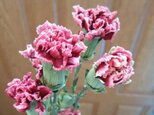 スプレーカーネーションのドライフラワー！Atelier kouan