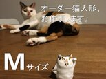 【オーダー猫人形】さーちゃんさま特注品 M×4匹の画像