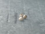 小さな貝殻のピアス　銀の画像