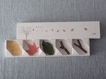 葉枝おき-カラーの画像