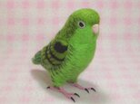 ライフサイズ♪ サザナミインコ 羊毛フェルト　受注作成　羊毛インコ　メモリアル　リアル　うちの子オーダー可能　リアルの画像