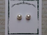 真珠（7.5ミリサイズ）n.600-8の画像