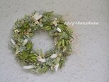 リューカとボアプランツのwreathの画像