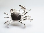 japanese crab pinsの画像