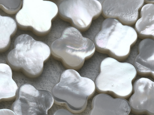 白蝶真珠貝 クローバーカットモチーフ 4ピース 11mm*13mm シェル 四つ葉 素材 パーツ ルースの画像