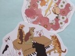 猫変形ポストカード（ピアノ）の画像