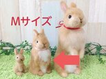 【ｵｰﾀﾞｰ】うさぎMサイズの画像