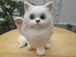 金運アップ★招き猫(長毛種)①の画像