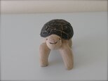 ◯ かめさん 5 cm 添配の画像