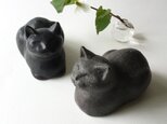 Tさま用、良い顔の黒猫の画像