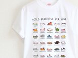 かわいいウミウシＴシャツ　メンズタイプの画像