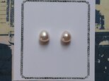 真珠（7.5ミリサイズ)n.500-8の画像