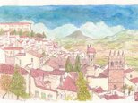 アンダルシアの春の画像